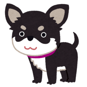 AKIHIRO
