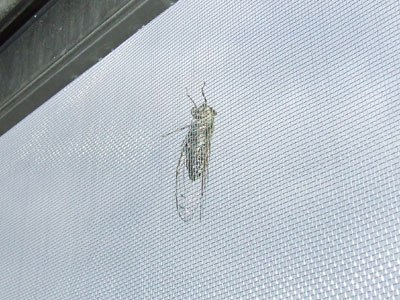 秋を感じますね～