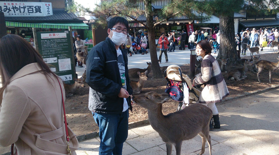 セイキさんのレースに参加してきました。