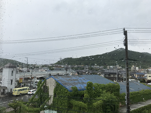 久しぶりの雨