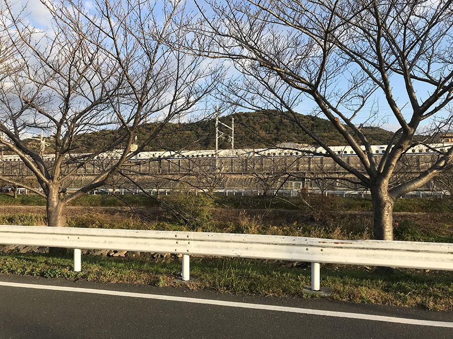 徒歩で通勤
