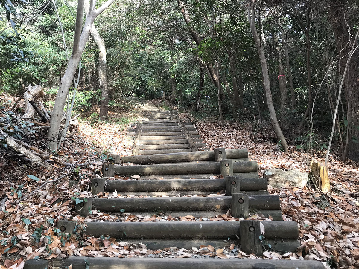 松明山チャレンジ